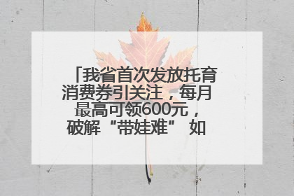 我省首次发放托育消费券引关注，每月最高可领600元，破解“带娃难” 如何不负所“托”？